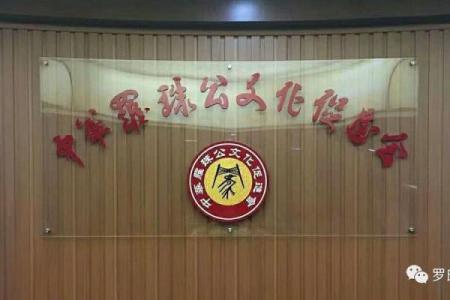 罗姓起名的文化传承与现代选择