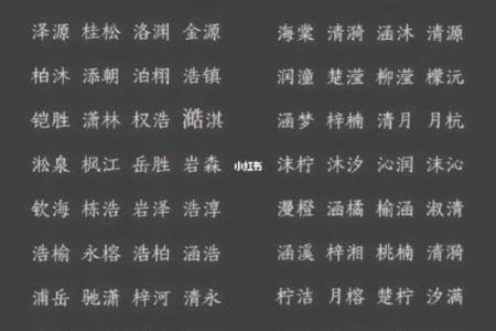宝宝名字大全：独特又有寓意的选择