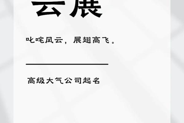 在线公司起名助手，让你的企业名字脱颖而出