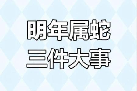 属蛇运势：职场晋升的好时机