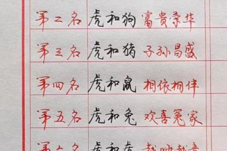 女牛男虎婚姻配对分析：性格互补还是冲突重重？