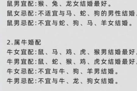 属猪和属马的缘分如何？详解两者婚姻配对的优缺点