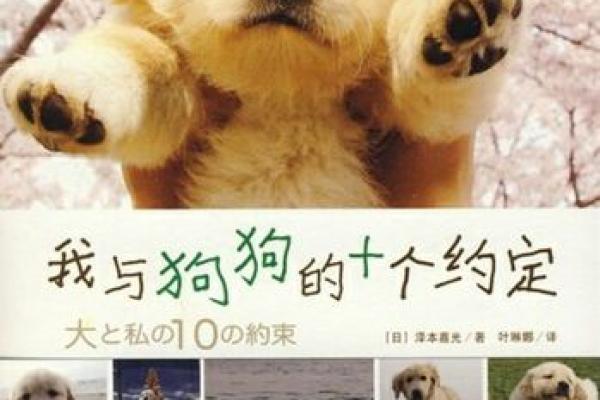 如何从电影或书籍中为狗狗挑选一个富有意义的名字 如何从电影或书籍中为狗狗挑选一个富有意义的名字
