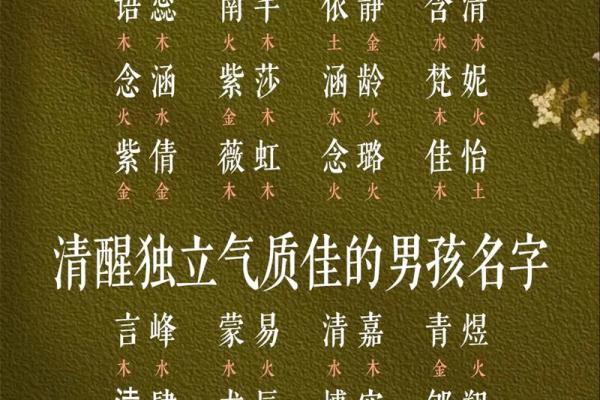 纪名字的独特魅力与命名技巧 纪名字的独特魅力与命名技巧