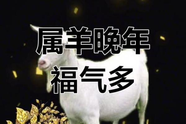属羊人运势解析：挑战与机遇并存的年度运程