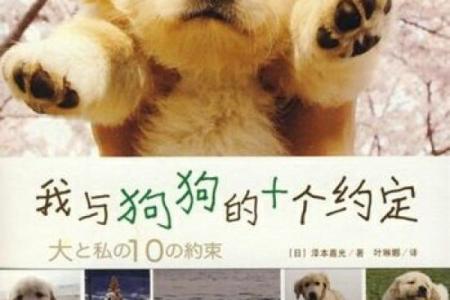 如何从电影或书籍中为狗狗挑选一个富有意义的名字