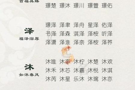 属马宝宝起名的传统与现代结合