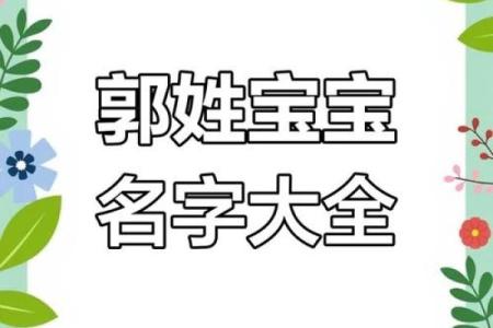郭姓女孩名字大全：优雅与智慧并存