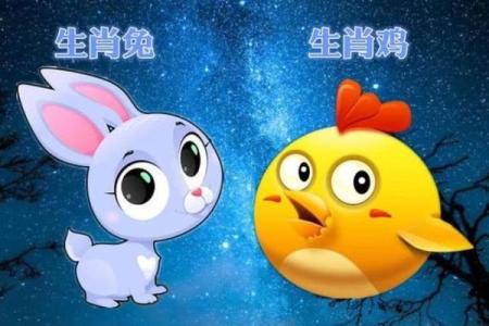 属兔男和属鸡女在感情中的互动与挑战