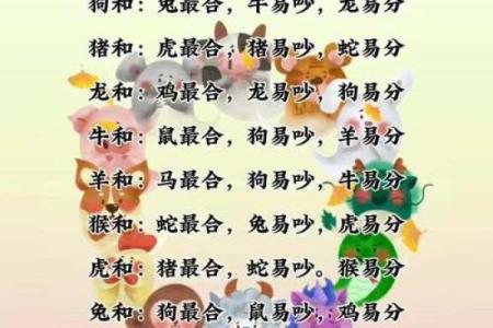 探讨女蛇与男猪的婚姻配对：如何化解性格差异