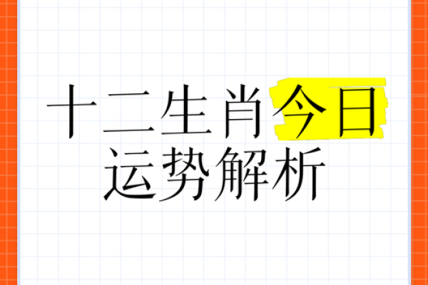 十二生肖运程分析与预测
