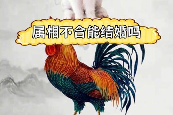 属鸡男和属鼠女在爱情中的相互吸引力