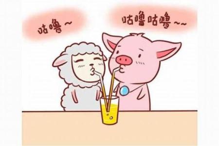 女猪与男羊婚姻的优缺点分析