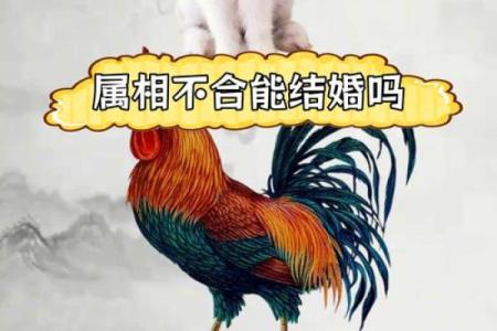 属鸡男和属鼠女在爱情中的相互吸引力