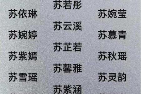 为小说注入生命力，女主名字大全全方位解析