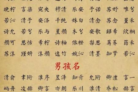 洛阳起名公司：为您的宝宝选一个有意义的名字