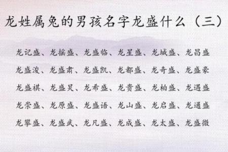 瓷都起名网如何为宝宝起个寓意深远的名字