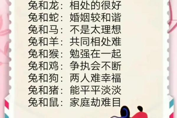牛兔配对的优缺点分析