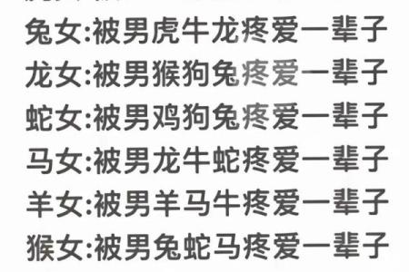 属狗与属虎的性格差异与互补：适合做伴侣吗？