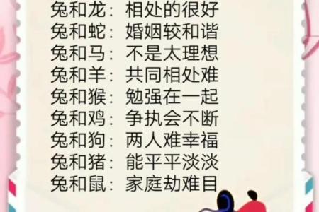 牛兔配对的优缺点分析