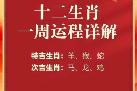 肖狗每月运势解析：从开年到年末的运程变化