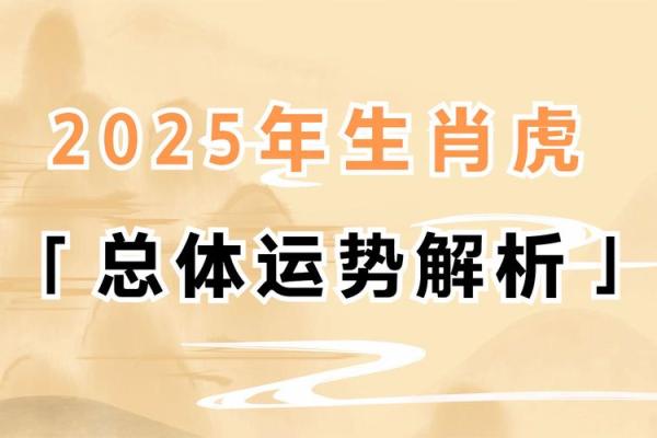 虎年程：事业与感情的挑战与机遇