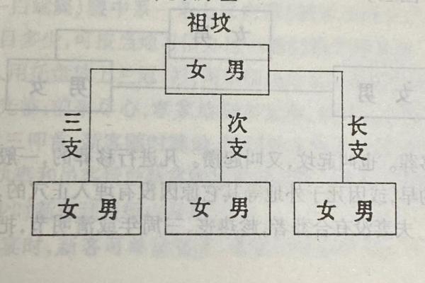 墓地风水布局要点:让先人庇佑后代繁荣 墓地风水布局要点:让先人庇佑后代繁荣