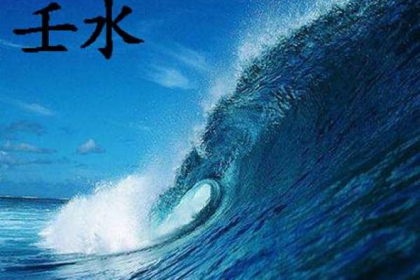 水命虎的特点与命运解析