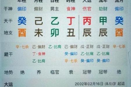 精准算生辰八字，掌握命运的关键秘诀