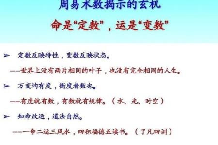皇后八字解读：揭示命运背后的深层秘密