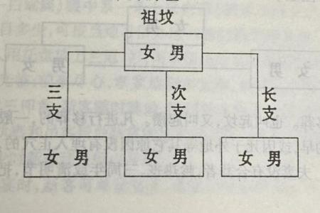 墓地风水布局要点：让先人庇佑后代繁荣