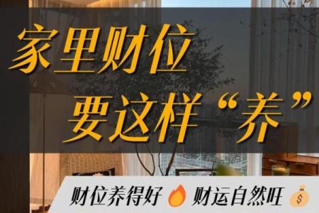 优化家居财位风水布局提升运势