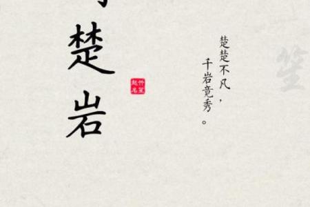 刘男孩名字如何体现家族传统与个人特色