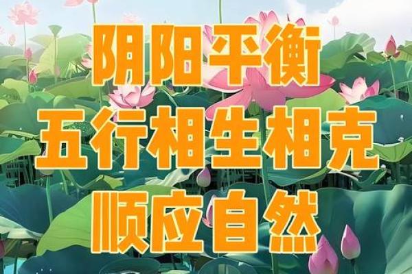 风水书解密如何利用环境改善健康运 风水书解密如何利用环境改善健康运