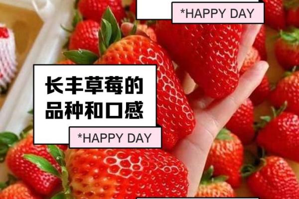 如何通过名字赋予草莓独特魅力 如何通过名字赋予草莓独特魅力