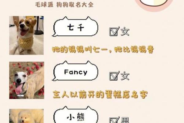给狗狗取名字的五大技巧：让名字更具个性