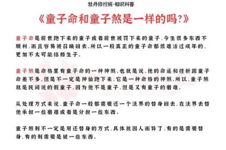 了解童子命的起源与文化背景