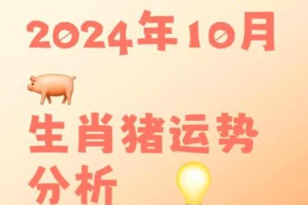 提升属猪人职场运势的办公座位风水