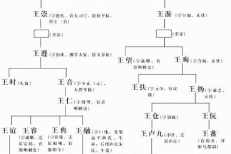 王五行属性揭秘：王姓人物的五行分析