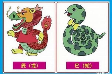 属虎男和属蛇女的爱情挑战与和谐秘诀