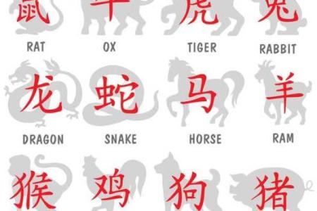 生辰八字中的冲克关系：如何化解生活中的困境