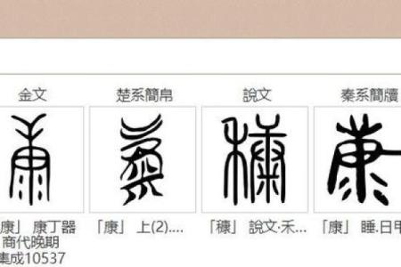 从康字看中国传统姓名文化的魅力