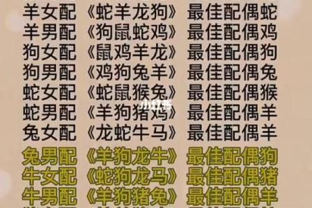 生肖配对：女兔男猪婚姻是否能长久