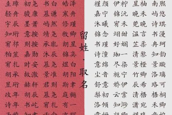 宝宝名字的五大取名法则 宝宝名字的五大取名法则