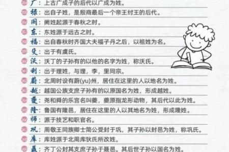 带名的名字：文化、历史与个体的微妙联系