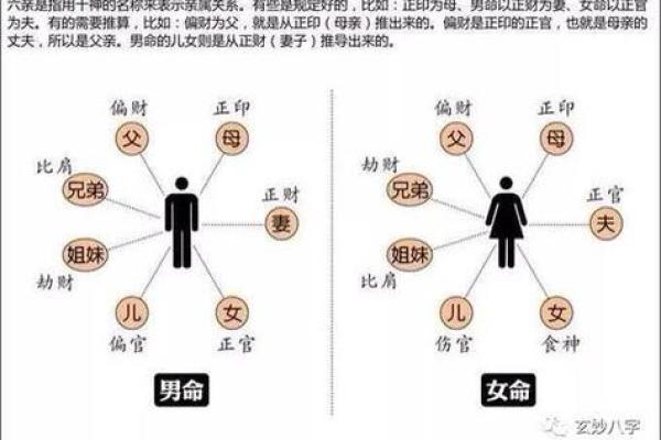 如何通过男命八字预测婚姻幸福