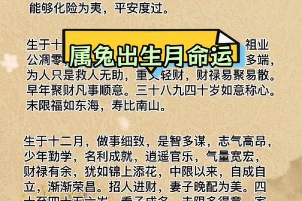 属兔人在的运势如何？全面解析事业与财富前景