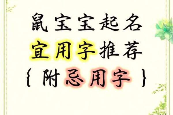 晚间出生鼠宝宝起名禁忌与注意事项 晚间出生鼠宝宝起名禁忌与注意事项