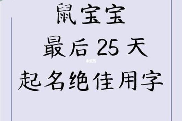 晚间出生鼠宝宝起名禁忌与注意事项 晚间出生鼠宝宝起名禁忌与注意事项