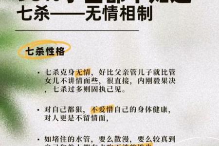 陈五行属性解析及其对命运的影响